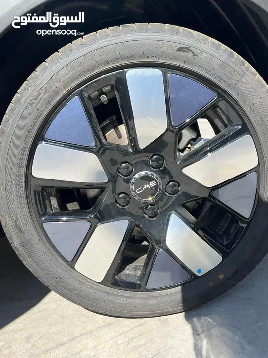 Byd bolphin knight