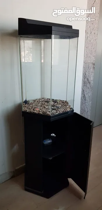 Aquarium(fish tank)