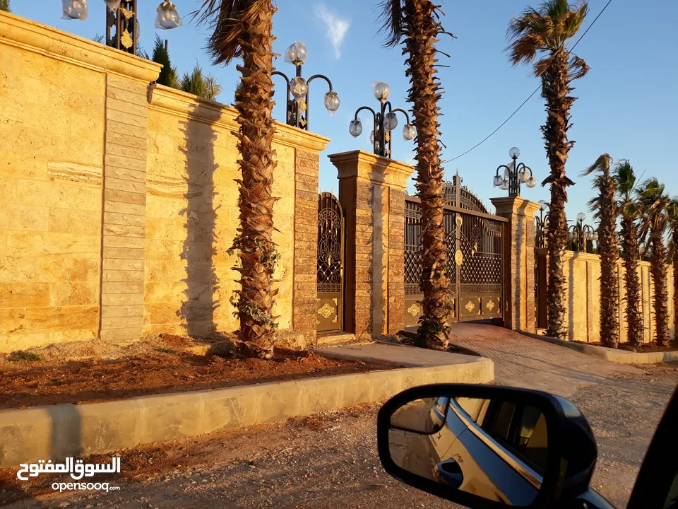 أرض للبيع موبص 577 م شارع الأردن مجاورة لقصر مقابل جامعة عمان العربية بالمنطقة العالية 