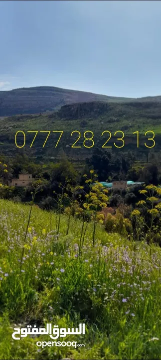 أمتلك 3.500دونم ونص  وادي شعيب اقساط عرض مده محدوده