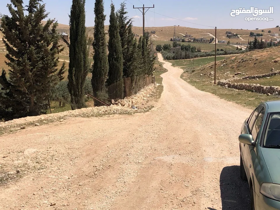 قطعة ارض للبيع -بلعما -عين والمعمرية