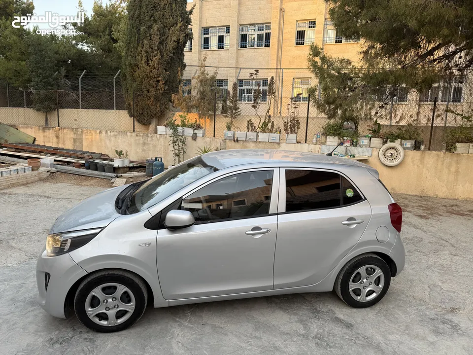 بيكانتو 2020 لسا بالنايلون مش ماشيه لسا 40 الف فقط