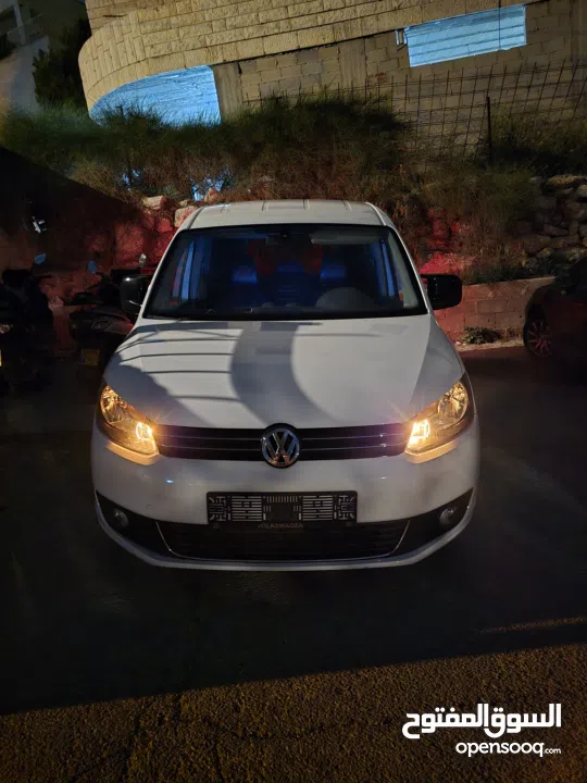 كادي شصي طويل