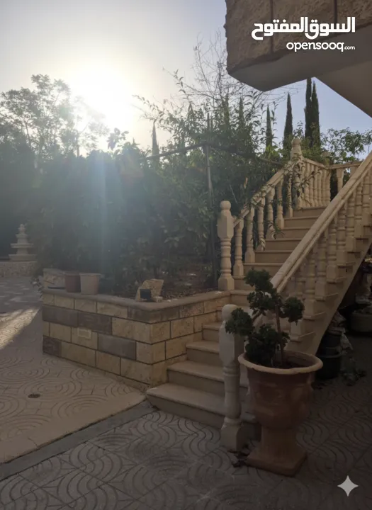 منزل مستقل مع شقة أرضية ودوبلكس وحديقة خلفية