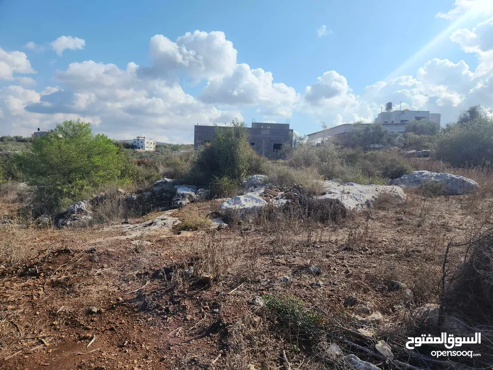 حصة بمنطقة الحرايق