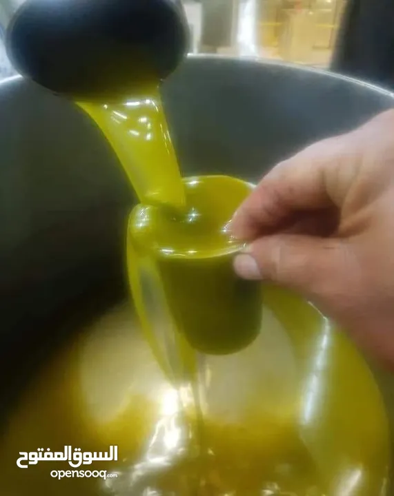 بعل رومي مضمون ومكفول وافحص وين مبدك حاصل علا شهاده غذا ودوا لايوجد توصيل