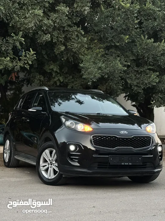 احمد سامي ابو غنيم