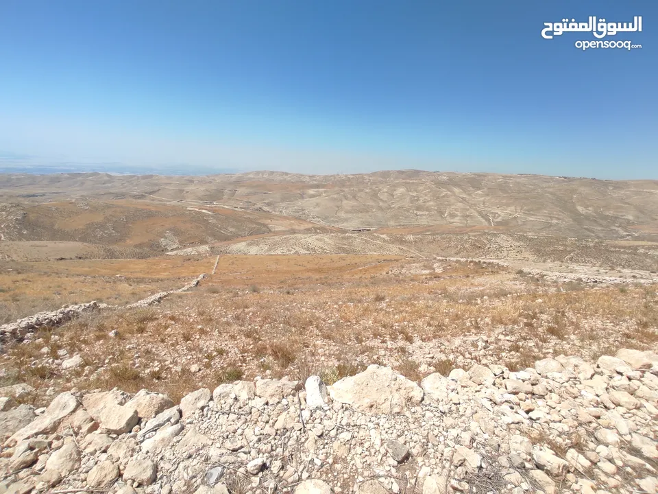 مادبا ماعين قطعة أرض زراعية مميزة مطلة على البحر الميت والضفة الغربية بمساحة 21 دونم