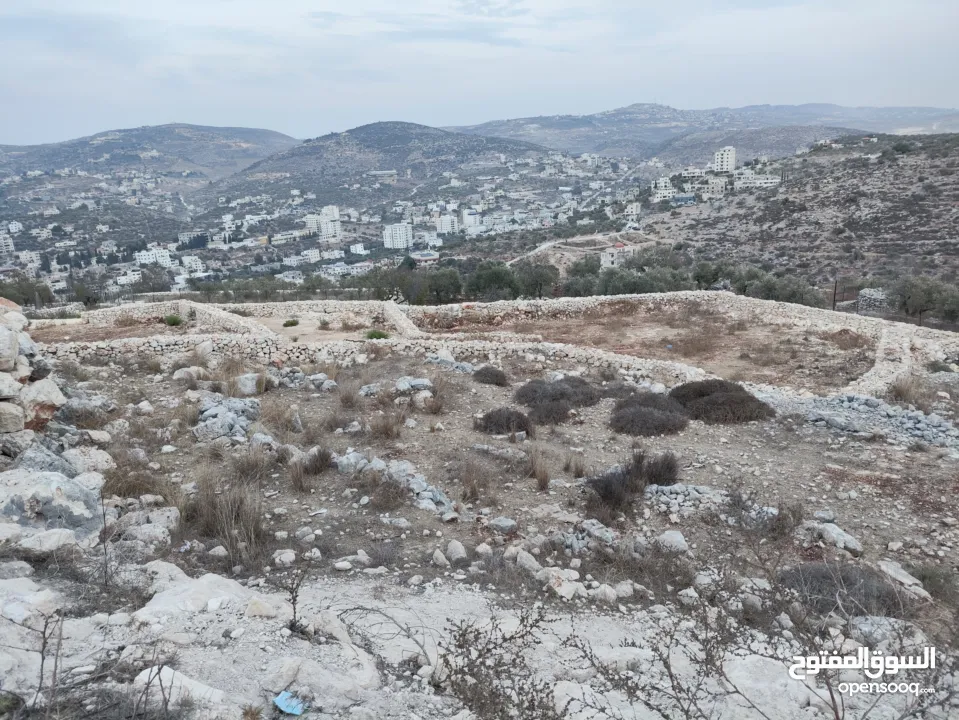 561 متر كوشان مفروز