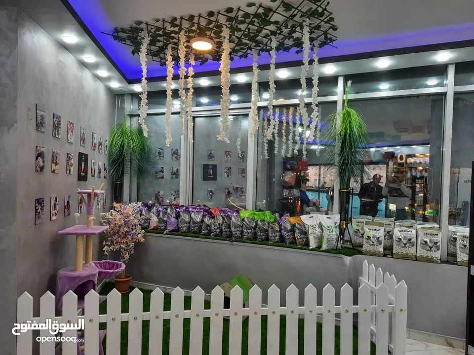 كهربجي محترف متنقل خدمه 24 ساعه فنان و دقيق  electrical Installation specialist and intercom