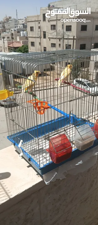 كنارات طواير عدد 2 للبيع
