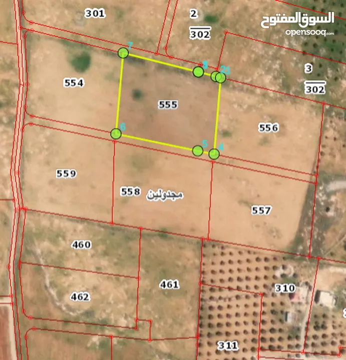 أرض استثمارية للبيع في قرية مجدولين محافظة الكرك