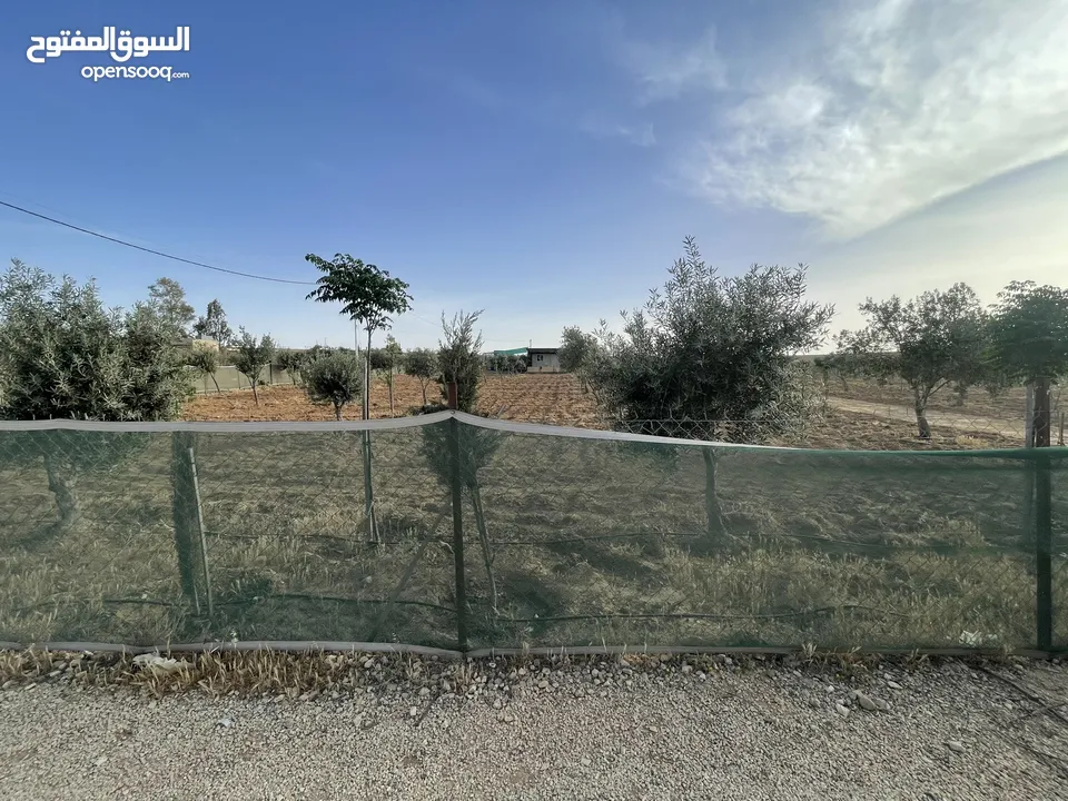 ارض زراعيه مجهزه بل كامل تبعد عن شارع المطار 6 كيلو تبعد عن وسط مادبا4ك