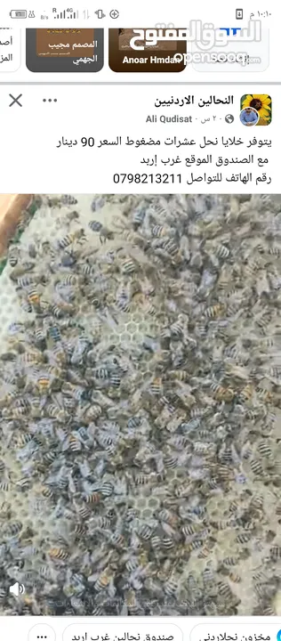عسل بلدي100٪ للبيع
