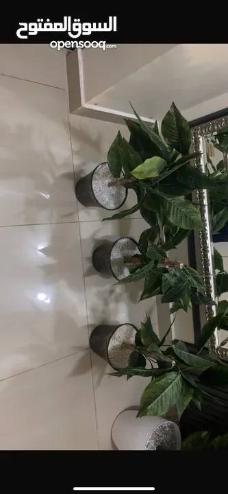 للبيع مجموعه اغراض