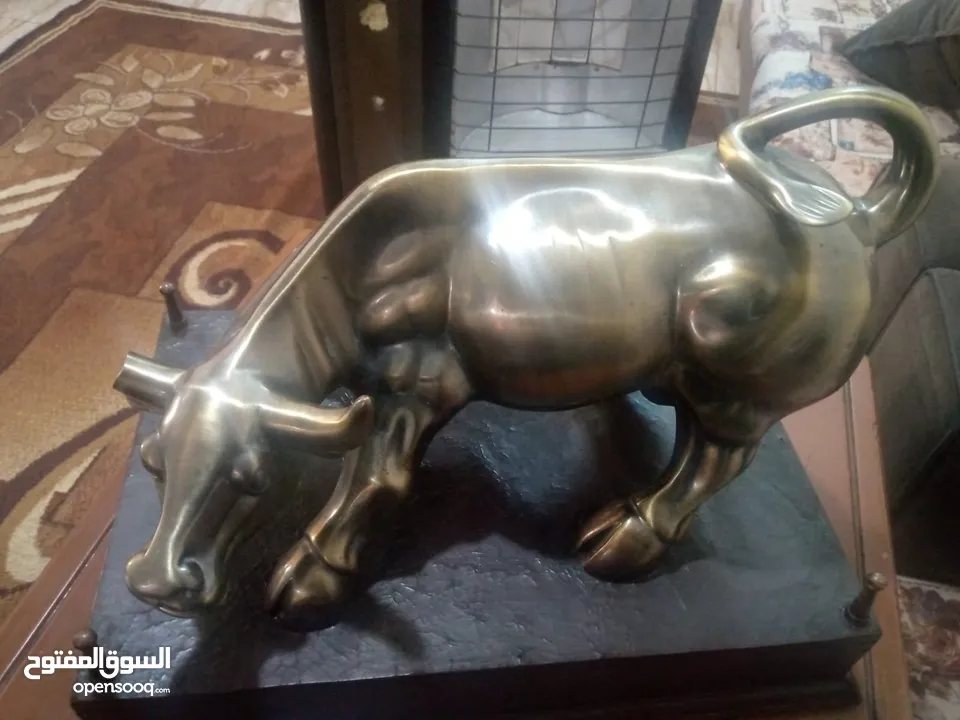منظر ثور للبيع