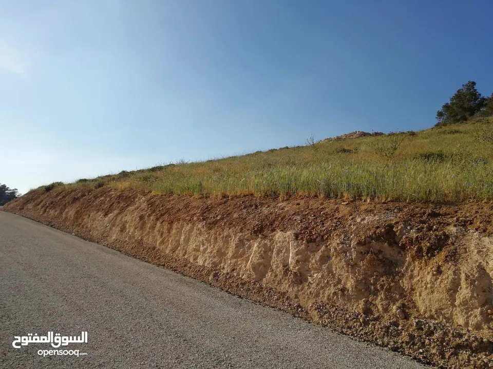 للبيع اراضي حوض السليحي من اراضي شمال عمان