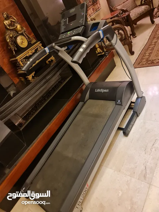 lifespan treadmill