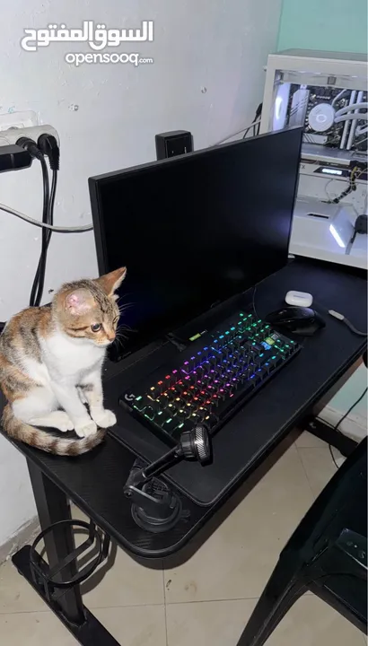 PC Gaming______