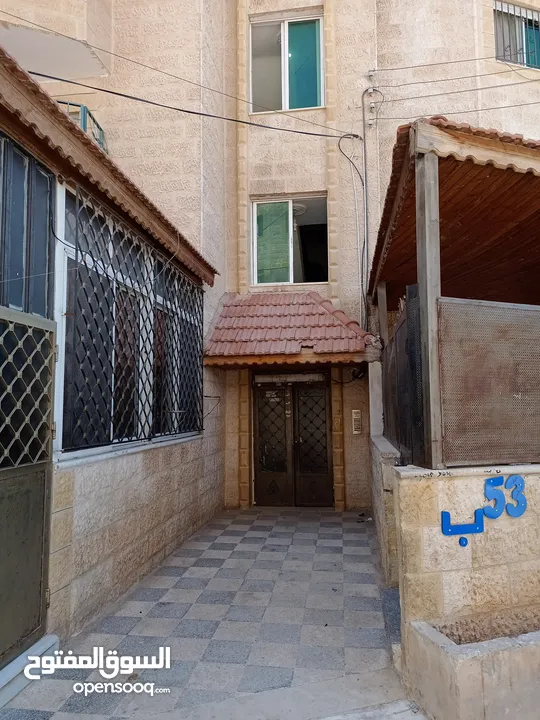 شقة للبيع في ماركا الجنوبية نادي السباق شيك المطار 3 غرف ومطبخ خشب بلوط وصالون و2 حمام وحماية راكبه