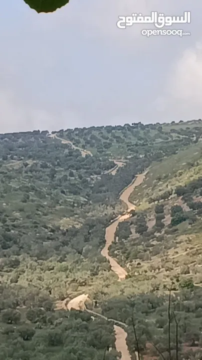 ارض للبيع بسعر مغري في ياصيد