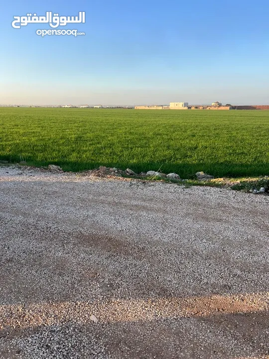 ارض للبيع ام الابار الغريبة جنوب شارع البتراء
