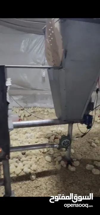 صوبة جفت تيربو للمزارع