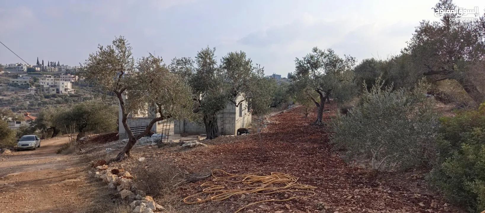 قطعة ارض مع بيت عظم للبيع