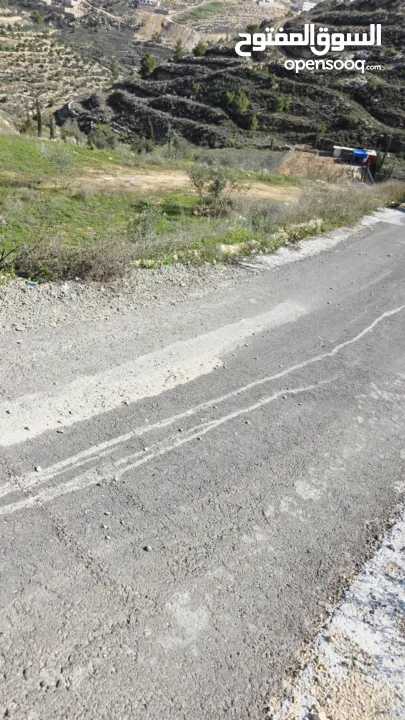 قطعة نص دونم دورا