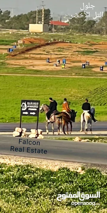 قطعة أرض سكنية مميزة في أجمل مناطق جنوب عمان / جلول