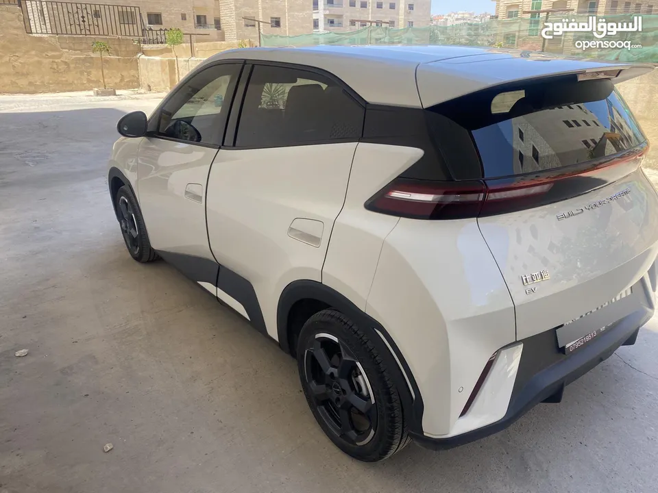 BYD SEAGULL 2023 فحص كامل ولا ملاحظة بطارية كبيره اعلى صنف