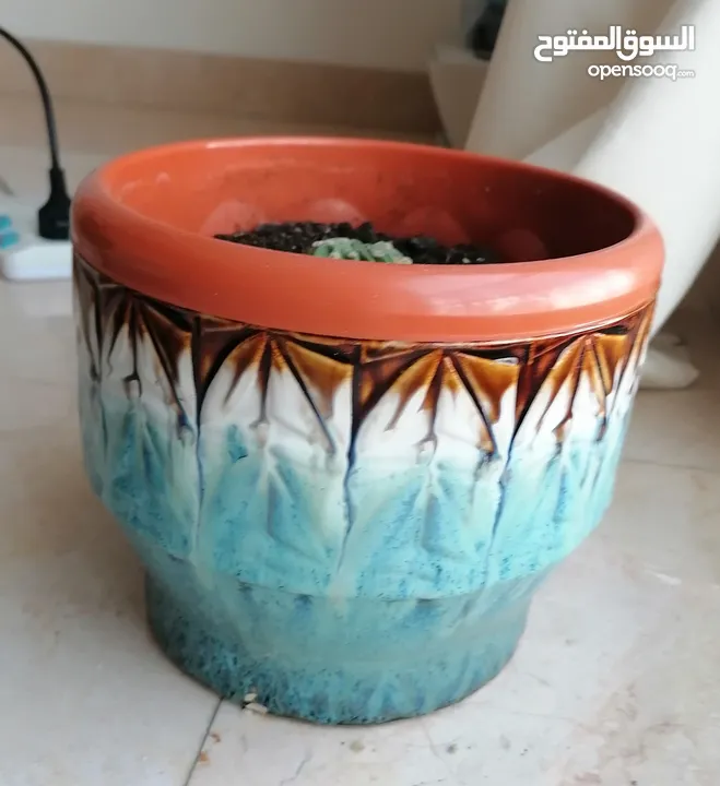 Flower pots, different designs