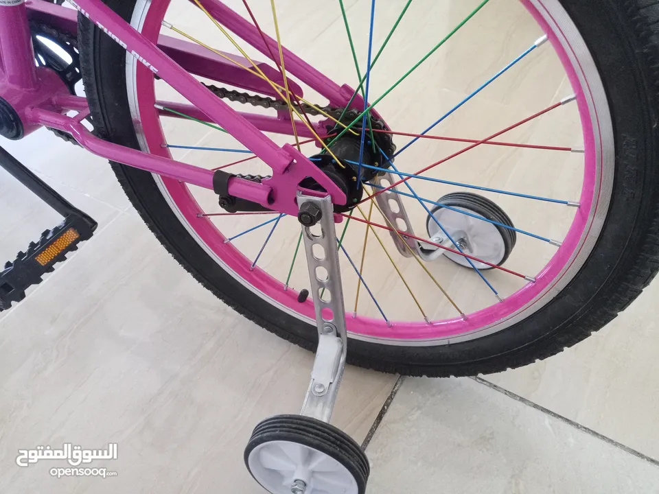 بسكليت صيني نخب اول (للبيع)