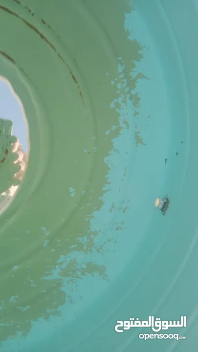 الصفوه لخدمات جلى الرخام والتلميع بكرستال وتنظيف الكنب والسجاد ورش الحشرات والتعقيم وتنظيف الفلل