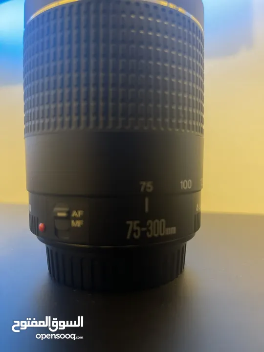 75-300mm canon lense