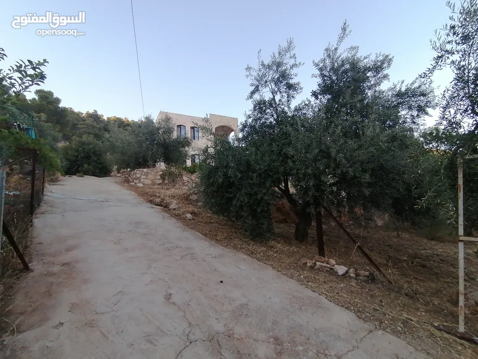 بيت ريفي للبيع في جرش - ثغرة عصفور