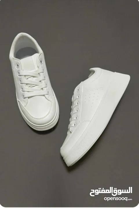 البيع بالجملة فقط