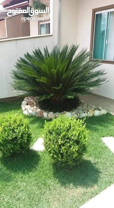 الحديقه والمنزل جميع انواع الاشجار المثمرة والأشجار الحرجيه ونباتات الزينة