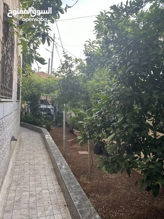 منزل مستقل خريبة السوق نافع قرب سوق الخضار المركزي للبيع