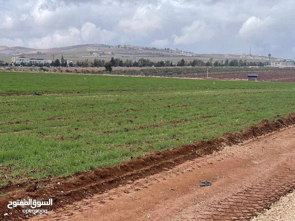 للبيع ارض اربد الحصن قرب جسر النعيمة وخلف معارض شهوان وطريق عمان الدولي قوشان مستقل حوض البطام