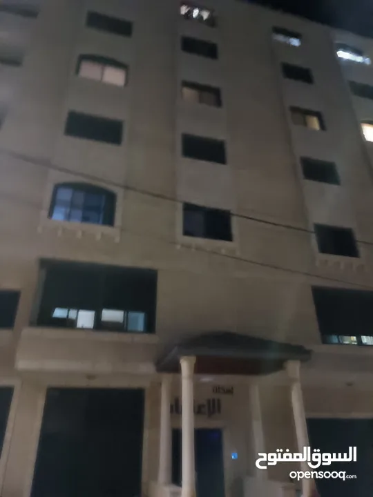 ابو زين  ابراهيم