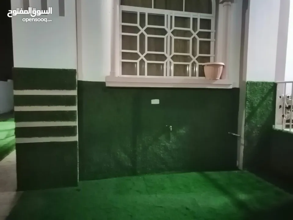 العشب الصناعي - لمسة خضراء دائمة بدون عناء! Artificial Grass A Permanent Green Touch Without Hassle