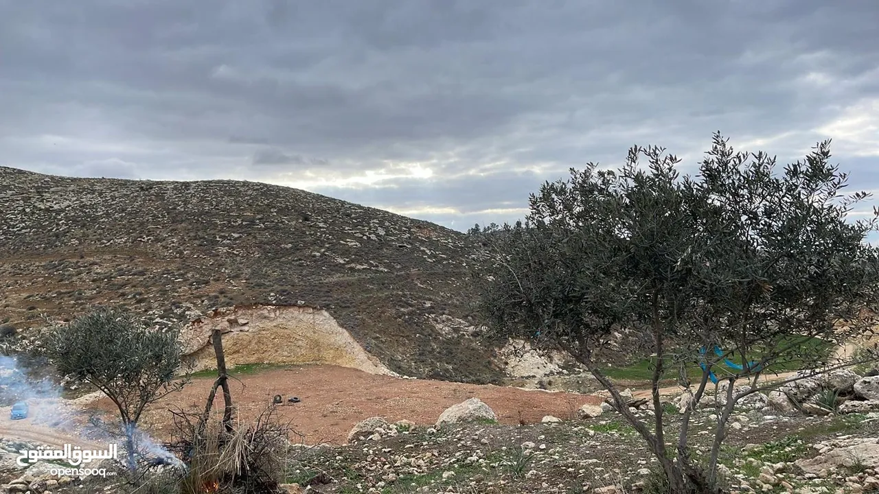 ارض بسعر مغري