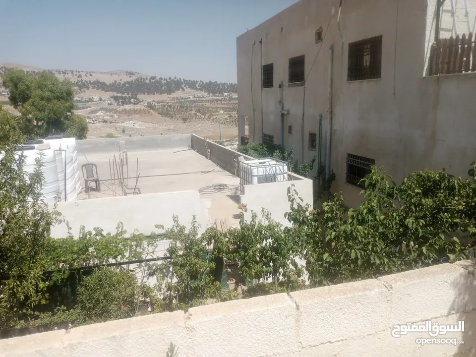 منزل مستقل جرش اسكان عجرمه  3غرف نوم 2حمام  صاله مع مطبخ امريكي  بلكونه  حديقه مساحه الارض 305