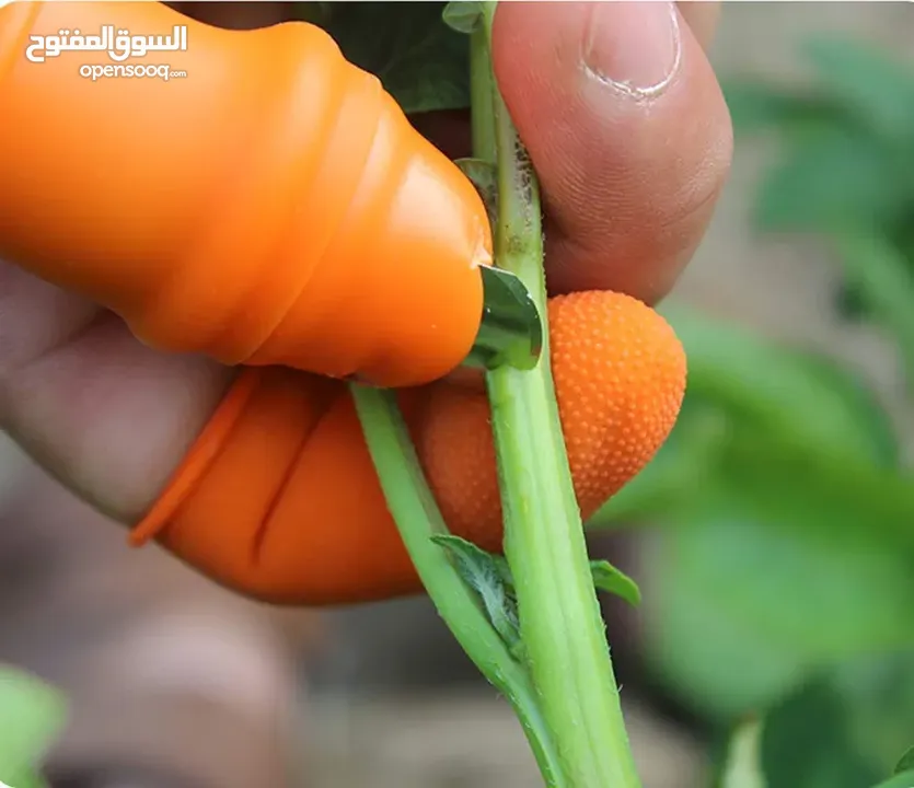 أداة التقليم الذكية على شكل إصبع