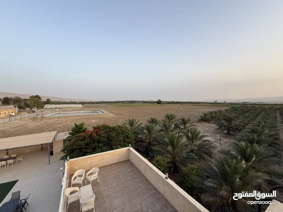 مزرعة نخيل مجهول مثمر ومنتج  + شاليه مودرن للبيع بأجمل مناطق الغور بالقرب من سد الكرامة 60 ك من عمان