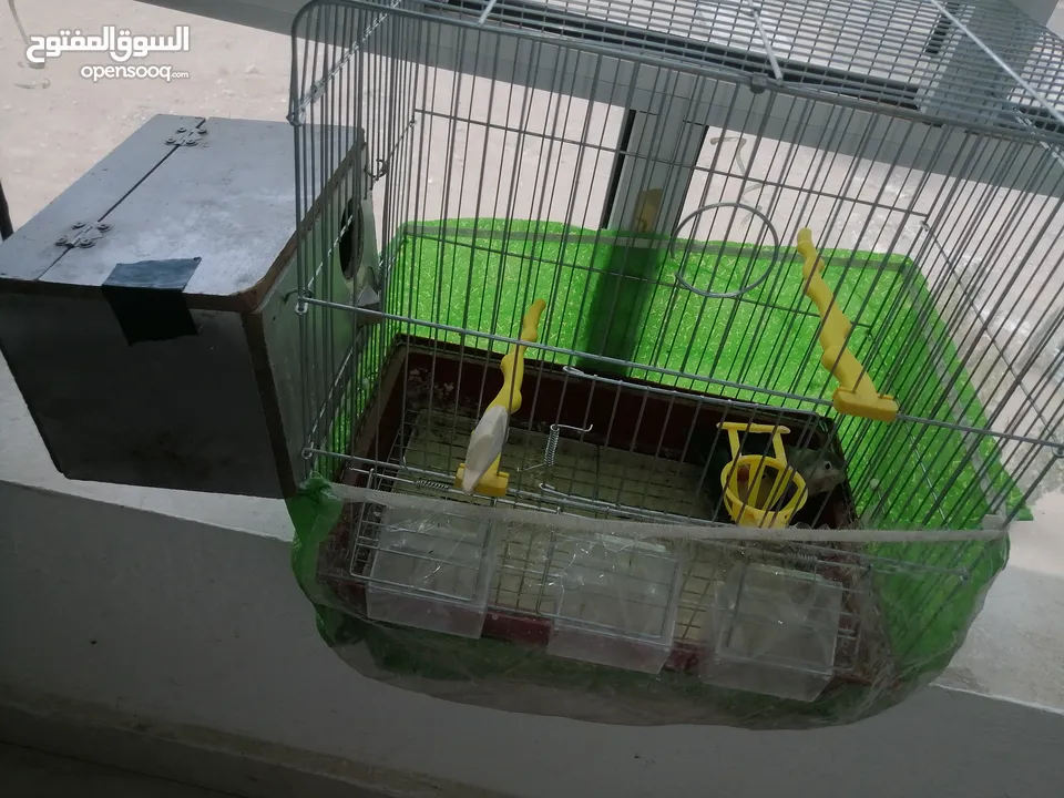 جوز فشر اوب لاين الوان بجنن مع قفص وكوخ