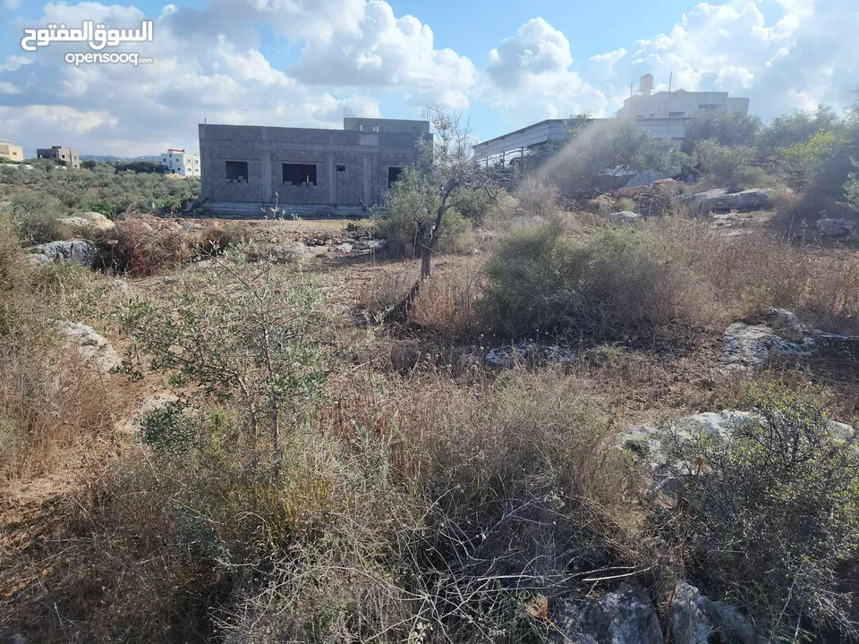 حصة بمنطقة الحرايق