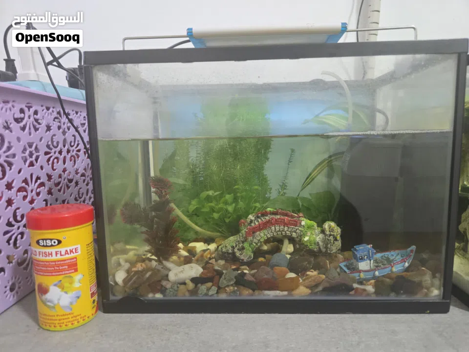 2 fish tank for sale  2احواظ سمك للبيع