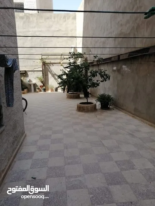 شقه للبيع في عين الباشا حي الأمير علي